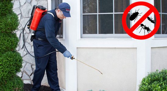 Karahallı Gümüşkurt İlaçlama böcek ilaçlama ve haşere kontrolü — ilaclama-tr.com